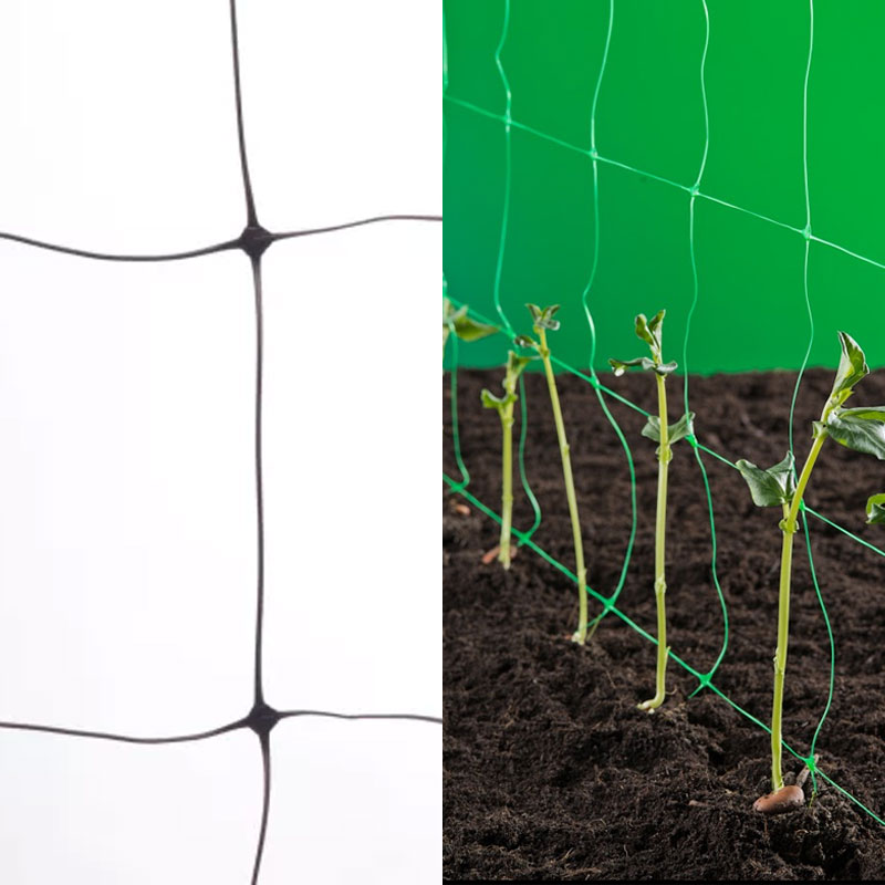 abaco powder coating net worth
